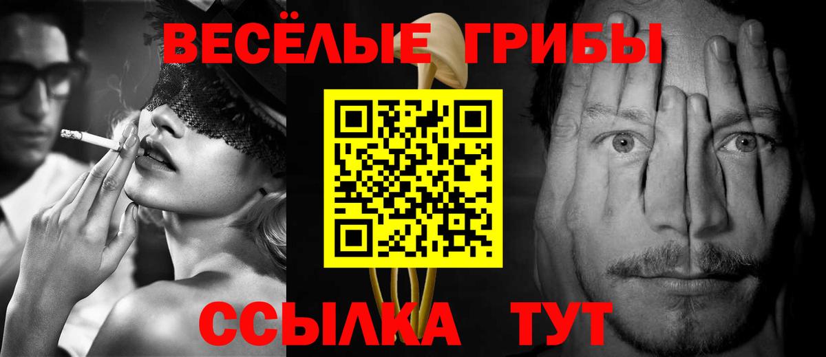 Балтийск  Псилоцибиновые грибы мухоморы  закладки  Вход с VPN 